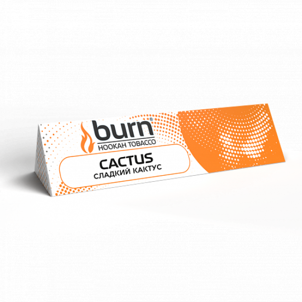 Табак BURN CACTUS 25 грамм в Ханты-Мансийске