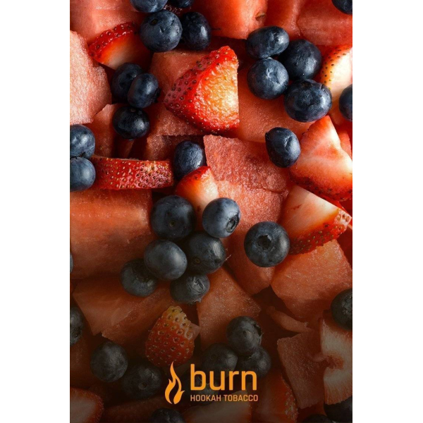 Табак Burn Berried Treasure 100 грамм в Ханты-Мансийске