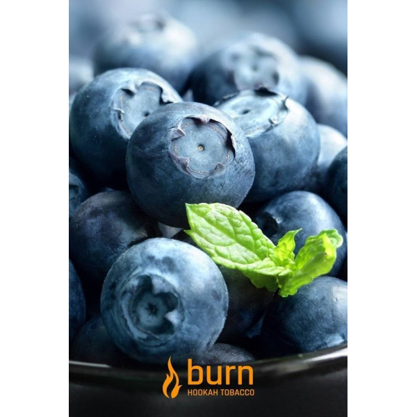 Табак Burn Blueberry Mint 100 грамм в Ханты-Мансийске