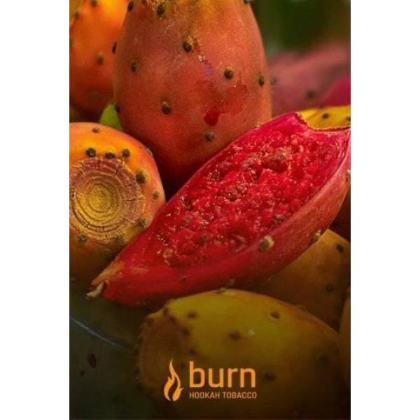 Табак Burn Cactus 100 грамм в Ханты-Мансийске