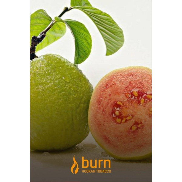 Табак Burn Guava 100 грамм в Ханты-Мансийске