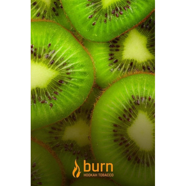 Табак Burn Kiwi 100 грамм в Ханты-Мансийске