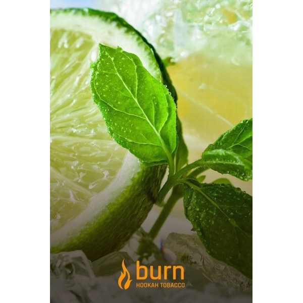 Табак Burn Lemon Mint 100 грамм в Ханты-Мансийске