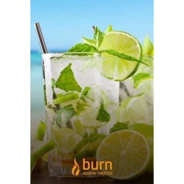 Табак Burn Mojito 100 грамм в Ханты-Мансийске