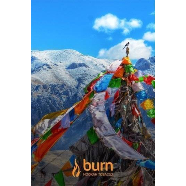 Табак Burn Tibet 100 грамм в Ханты-Мансийске
