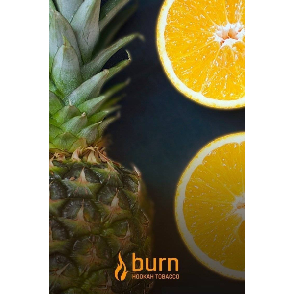 Табак Burn White Night 100 грамм в Ханты-Мансийске
