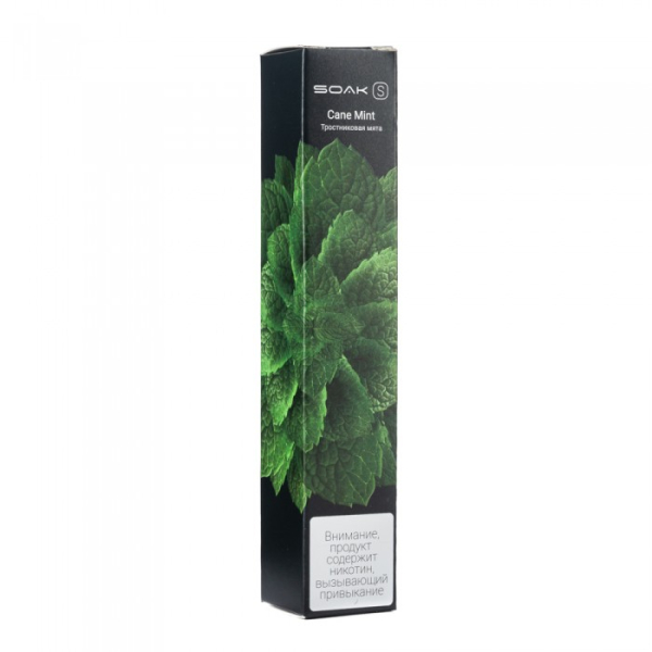 SOAK S Cane Mint (Тростниковая мята), 2500 тяг в Ханты-Мансийске