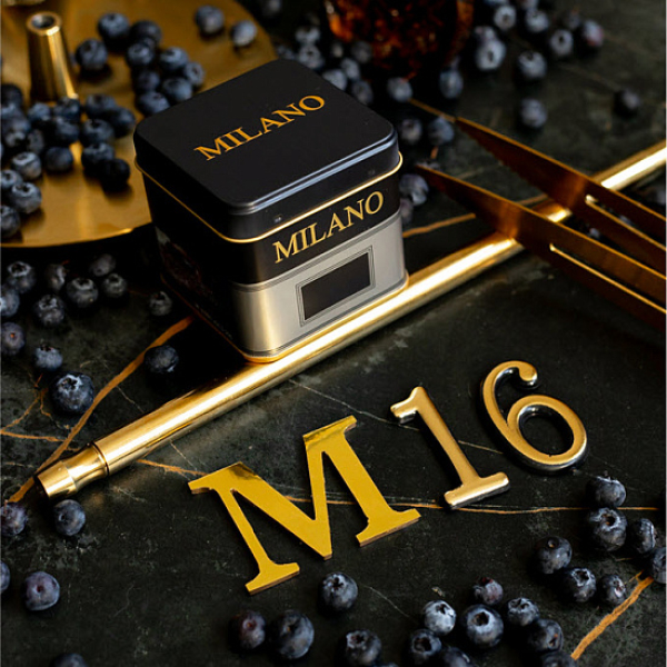 Табак MILANO GOLD М16 BILBERRY 100 гр в Ханты-Мансийске