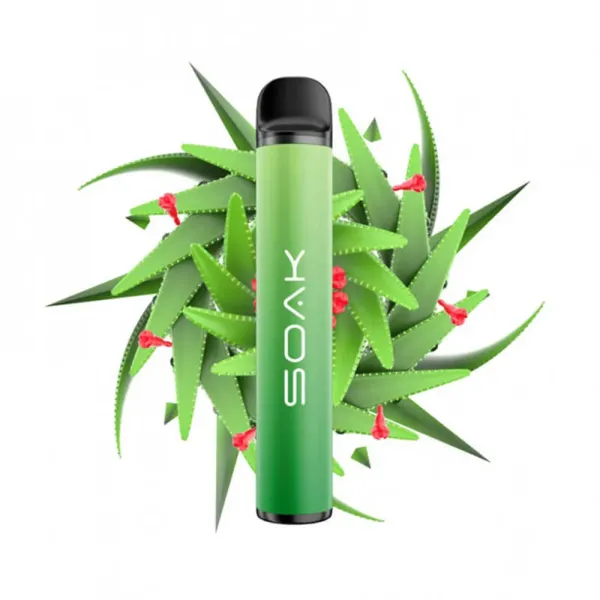 SOAK X Aloe Vera (Алое Вера), 1500 тяг в Ханты-Мансийске