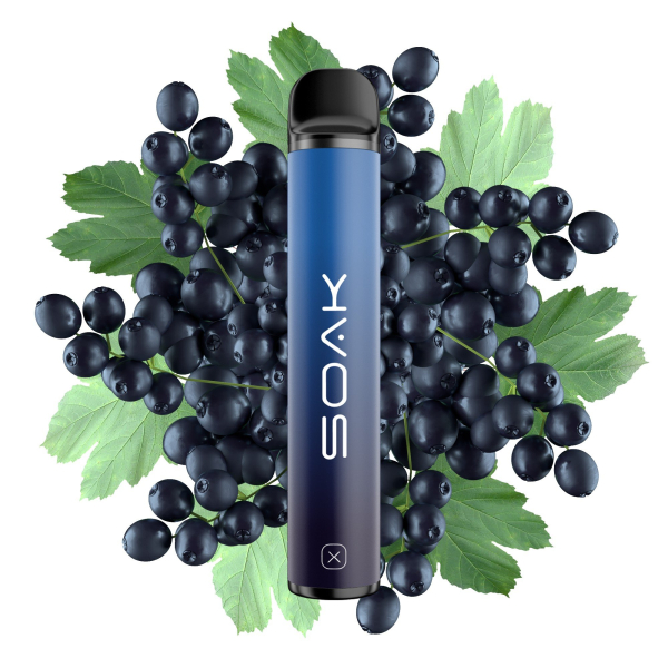 SOAK X Forest Blackcurrant (Лесная черная смородина), 1500 тяг в Ханты-Мансийске