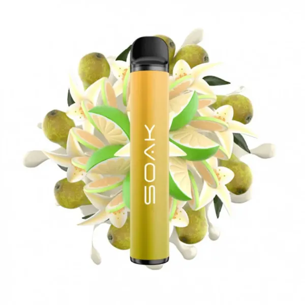 SOAK X Vanilla Pear (Ванильная груша с лаймом), 1500 тяг в Ханты-Мансийске