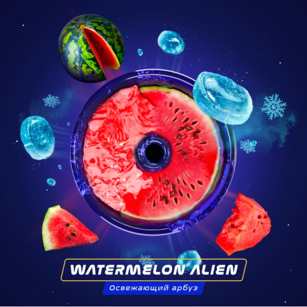 Паста Space Smoke BASIC Watermelon  Alien (Арбуз с  холодком) 30 гр в Ханты-Мансийске