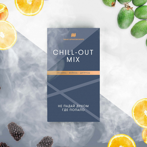 Табак Шпаковского Chill Out (Ежевика Фейхоа Цитрусы) 40 грамм в Ханты-Мансийске