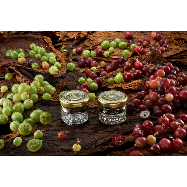 Табак WTO CARIBBEAN BLEND CB15 Крыжовник 20 грамм в Ханты-Мансийске